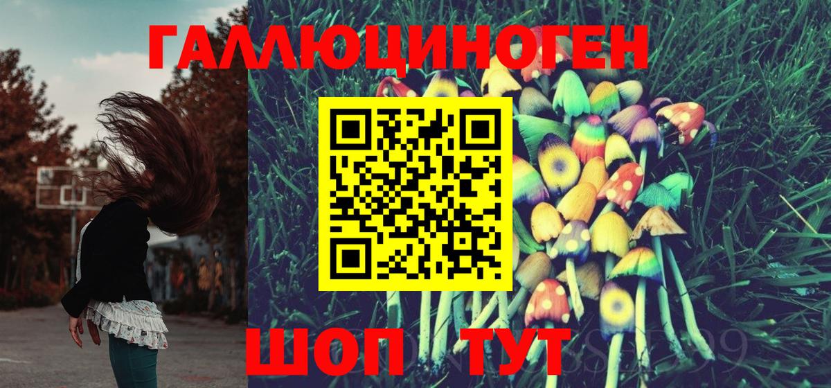 Псилоцибиновые грибы Cubensis Сланцы
