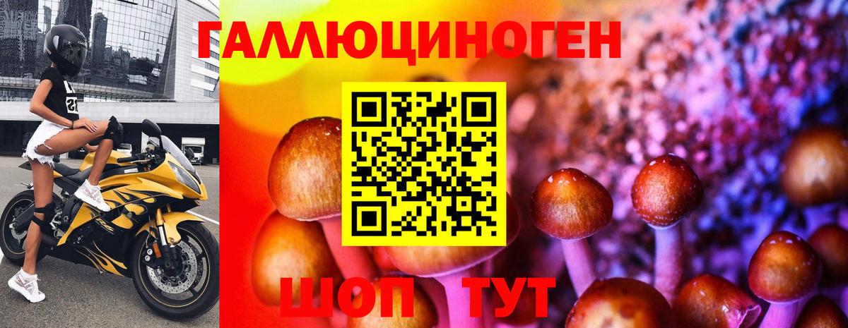 Псилоцибиновые грибы MAGIC MUSHROOMS  Вход с VPN  Сланцы 